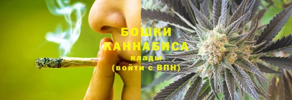 МДПВ Михайлов