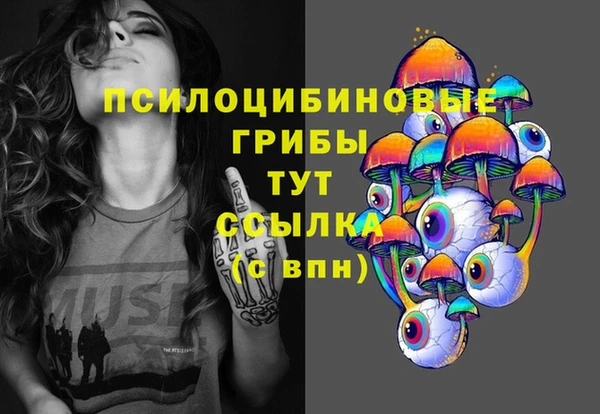 СК Михайловск