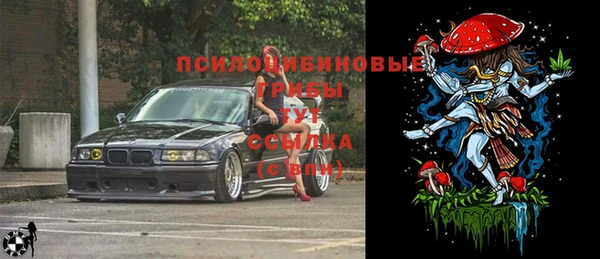 МДПВ Михайлов