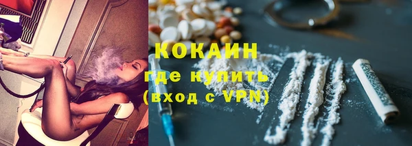 МДПВ Михайлов