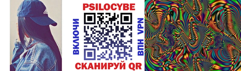 Купить где  Ивангород  Галлюциногенные грибы Cubensis 